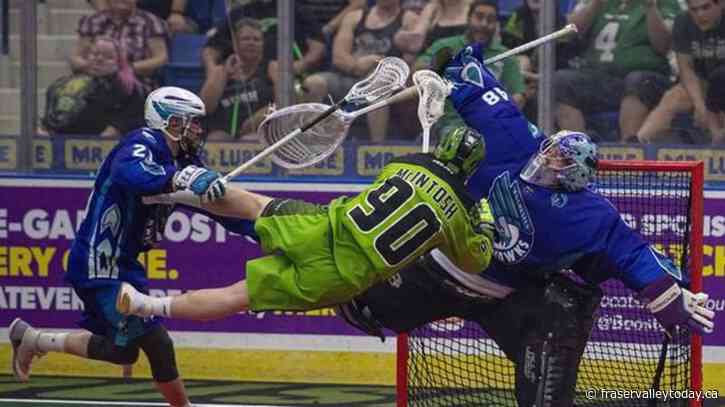 NLL’s New York team to move to Ottawa and be renamed Black Bears starting next season