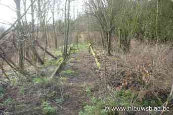 Ontbrekende schakel in fietssnelweg wordt aangepakt