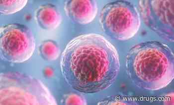 Outcomes Similar for Therapy-Related, De Novo MDS After Haplo-HSCT