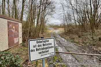 Freiflächen-PV-Anlage in Spenge: Naturschützer erheben keine Einwände