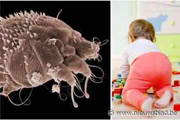 Schurft vastgesteld bij kindje in crèche: “We vragen waakzaamheid, maar reden tot paniek is er niet”