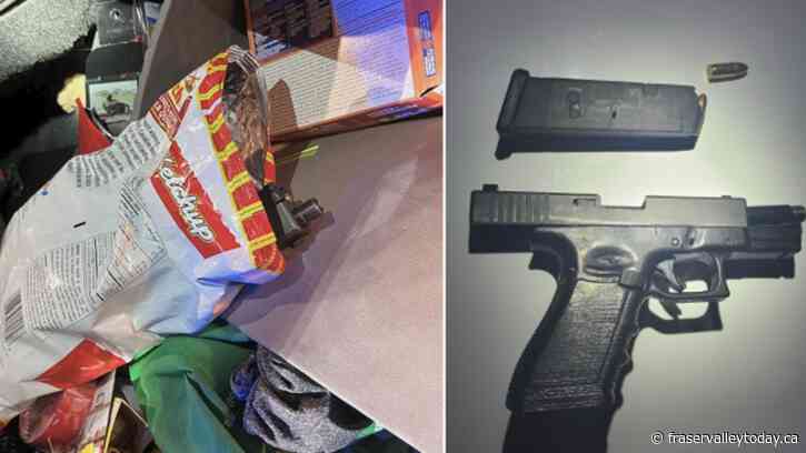 Mission RCMP locate loaded 3D gun, machete inside a chip bag during risky late-night traffic stop