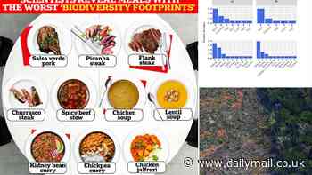 Scientists reveal the 10 worst dishes for the environment - including several VEGAN options