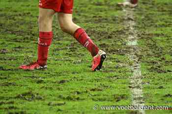 Niet enkel spelers JPL hunkeren naar zon... Deze werknemers van de clubs bidden er elke dag om