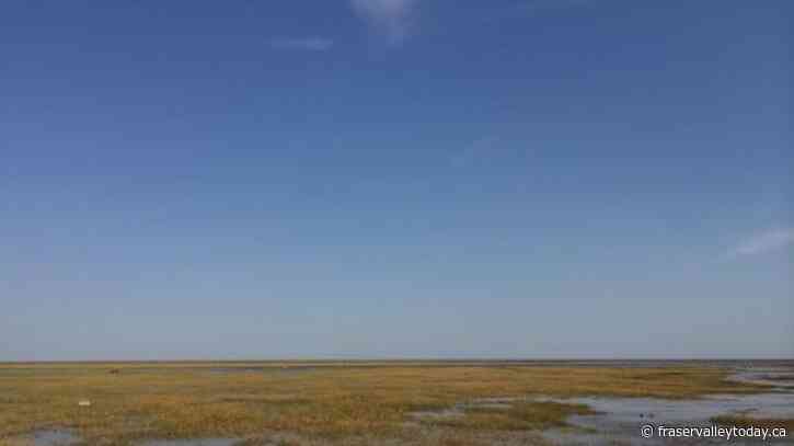 Marine area bigger than Lake Superior could soon be protected off Ontario’s shores