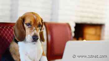 The top ten highest-paid tech skills can make you a lot of money - here's how much