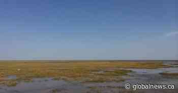 Marine area bigger than Lake Superior could soon be protected off Ontario’s shores