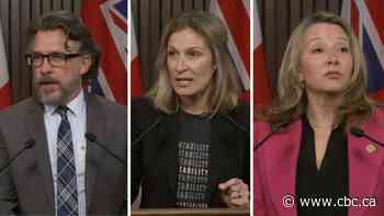 Ontario needs a law to punish councillors for violence and harassment, advocates say