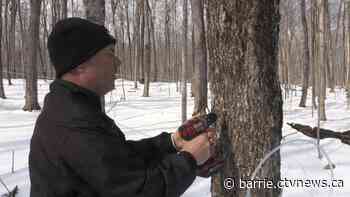 Rising temperatures transform February into early spring across Ontario