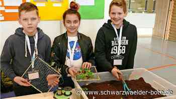 Anzeige: Die Welt von morgen mitgestalten