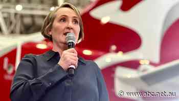 'The journey will take time': Qantas boss promises improved service as airfares, profits fall