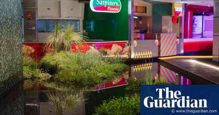 ‘Nature will have her way’: how a desolate Perth shopping mall has been transformed into a sprawling wetland