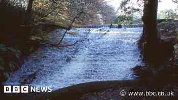 Work under way to preserve historic dams