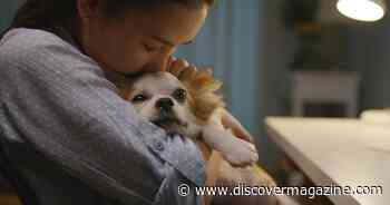 That Urge to Squeeze Cute Things Has a Name, It's Called Cute Aggression