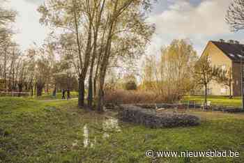 Schoon Schijn – Puyhoek en Schoon Schijn – Mariaburg worden watergevoelige openruimtegebieden
