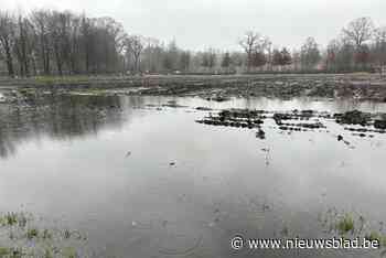 Organisatie van het Winterdorp zal mee betalen voor herstel belabberde Hemelweide