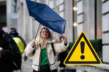 Met Office London forecast as yellow warnings for wind and rain issued