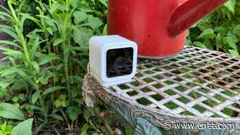 Best DIY Home Security Systems of 2024     - CNET