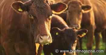 Farm Progress America, February 22, 2024