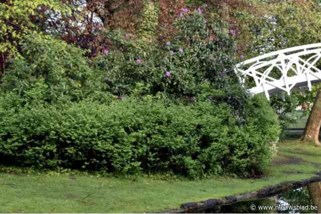 Lierse vesten en stadspark worden afgesloten uit voorzorg voor Storm Louis
