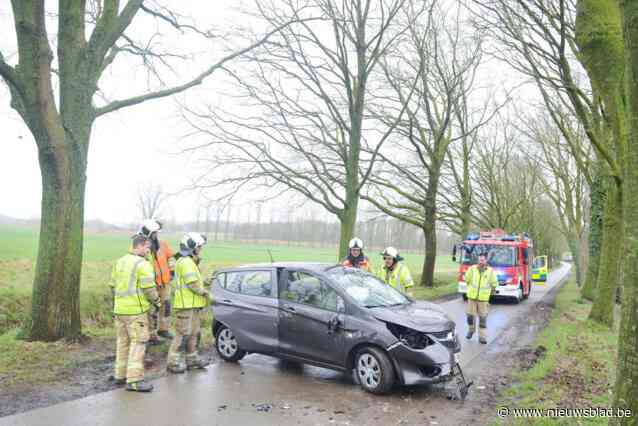 Bestuurster gewond na botsing tegen boom in Kruisem