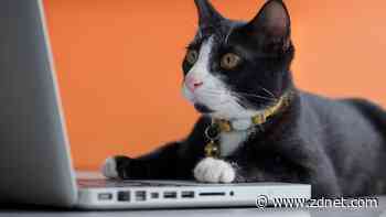 How to add a drop-down list in a Google Document