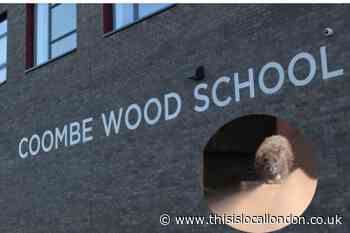 Coombe Wood School Croydon has hygiene rating lowered