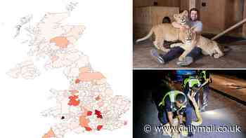 The wild animals next door: Interactive map reveals where 2,700 dangerous pets including king cobras, crocodiles and cougars are being kept in the UK - so are there any near YOU?