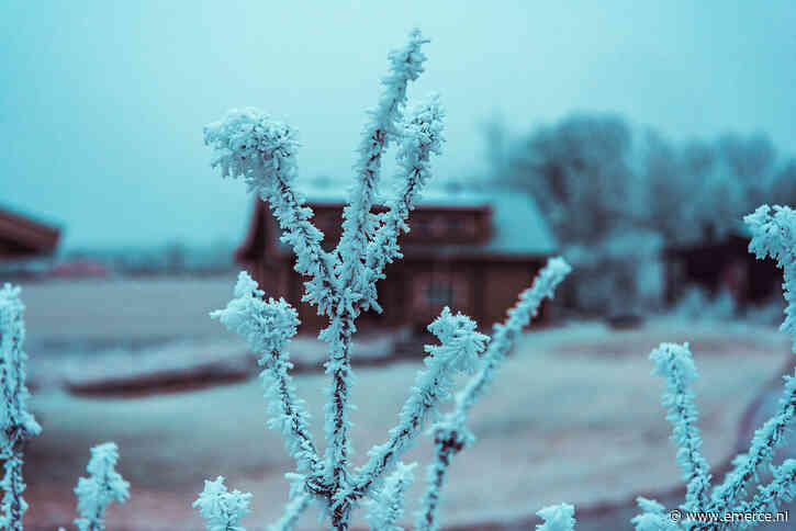 Internationale omzet Viaplay verdubbeld