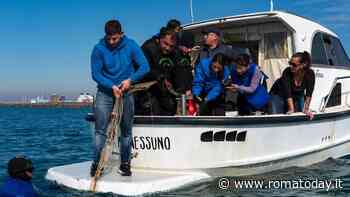 VIDEO | Minaccia marina: recuperata rete da pesca "fantasma" lunga 200 metri