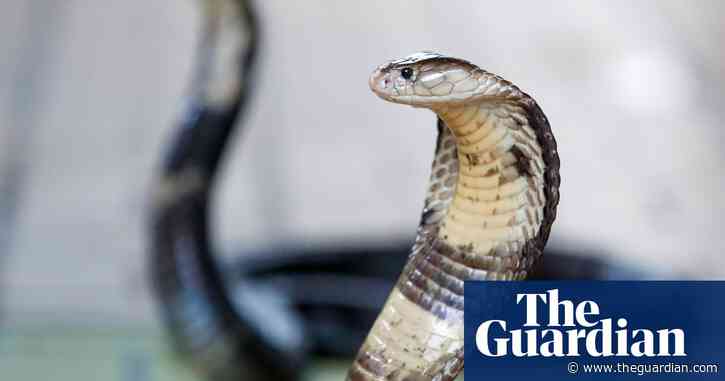 More than 2,700 dangerous wild animals kept in homes in Great Britain