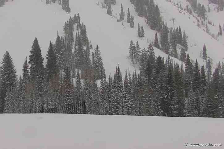 Utah Ski Area Hits 115 Inches Of Snow On The Month