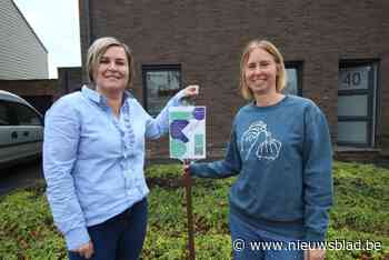 Finaleweek KemmA gaat van start, tien Borsbekenaren maken kans op winst in dorpsspel