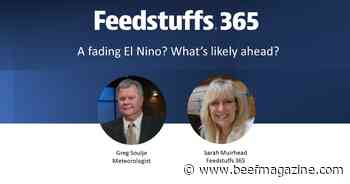 A fading El Nino? What's likely ahead?