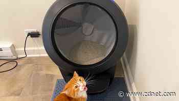 The best self-cleaning litter boxes of 2024: Expert tested
