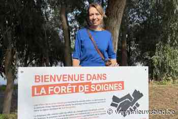 Zoniënwoud ligt plots ook in Marokko: “Klimaatonrecht laat zich overal voelen”