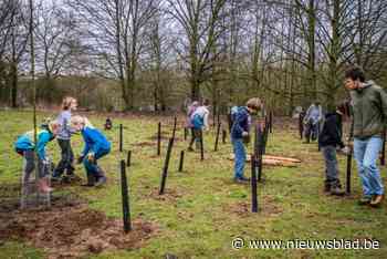 Leerlingen planten nieuw bos aan Abdij van Park
