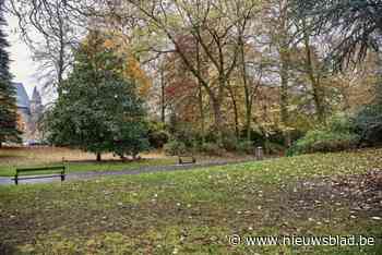 Rukwinden tot 110 kilometer per uur door storm Louis voorspeld: één straat, parken en begraafplaatsen in Gent afgesloten