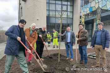 Site van Felix De Boeck omgevormd tot groene oase: “Meer dan welkom in zeer sterk verstedelijkte gemeente”