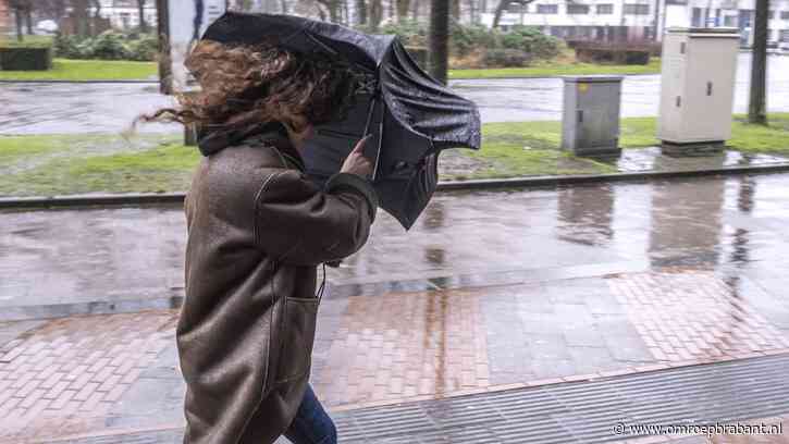 Code oranje voor zeer zware windstoten, storm Louis op komst