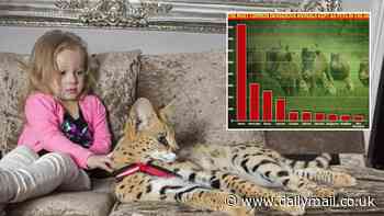 Revealed: The most common dangerous exotic animals kept as pets in the UK - including 819 wild boar, 312 ostriches and 60 cobras