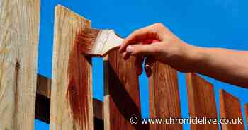 Cleaning expert shares simple two-ingredient method to remove green algae from garden fences