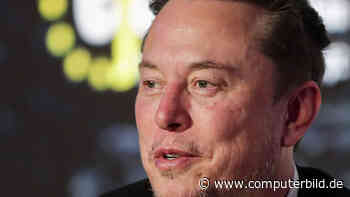 Lobt sich Elon Musk mit Fake-Account auf X selbst?