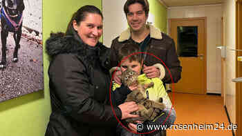 Schwarzfahrer auf vier Pfoten: Pascha (4) fährt mit dem Zug von München nach Passau