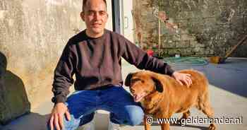 ‘Oudste hond aller tijden’ verliest titel na controle