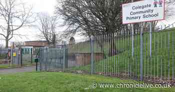 Gateshead Council opens consultation on its 'most vulnerable school' with just 125 pupils