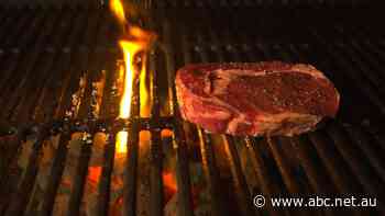 Red meat industry questions sustainability 'remit' of Australian Dietary Guideline review