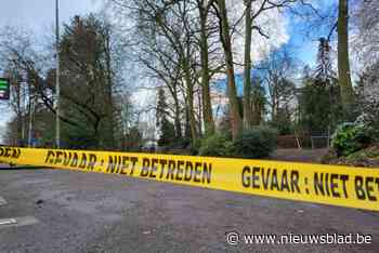 Straat, parken en begraafplaatsen in Gent afgesloten voor storm Louis: brandweer krijgt 15-tal oproepen
