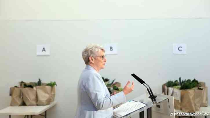 Free IVF in British Columbia will ‘save marriages,’ says father of two