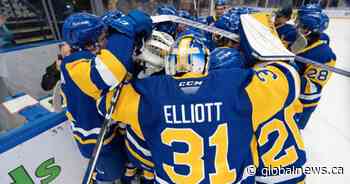 Saskatoon Blades putting together home record for the ages at SaskTel Centre